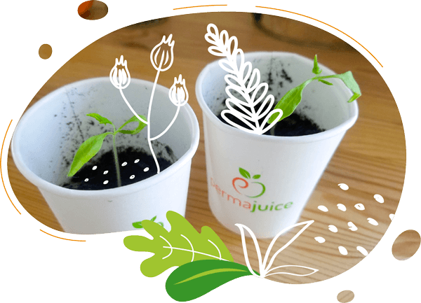 nos gobelets permajuice en mono matériau ont le label ok compost home. ils sont compostables et biodégradables dans un composteur classique individuel