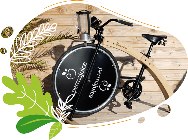 un velo smoothie fabrique artisanalement en Normandie a partir de bois issu de forets gérées durablement