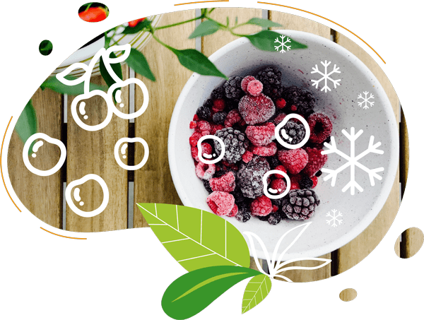 Les fruits surgelés permettent d'obtenir un smoothie frais et presque givré
