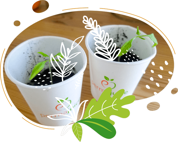 Nos gobelets compostables permettent aux clients de semer une graine pour repartir avec un souvenir.