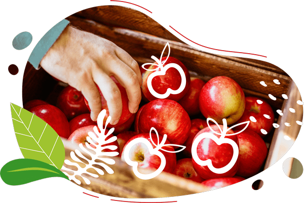 Une main d'homme prend une pomme dans un panier