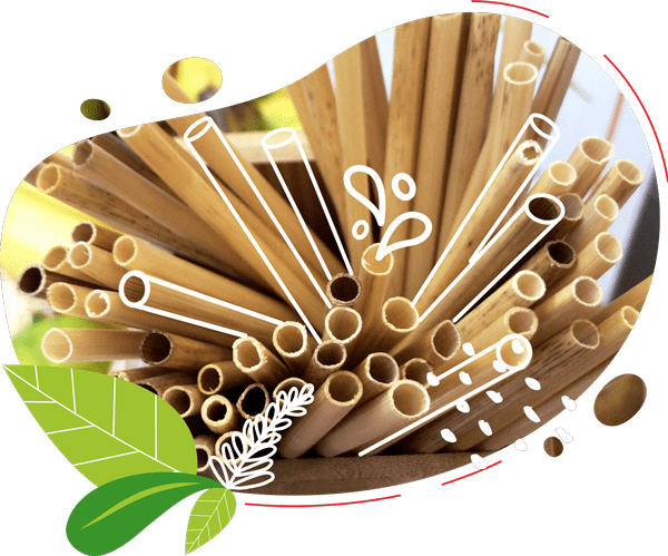 Les pailles en paille de seigle naturel sont biosourcées et zerowaste