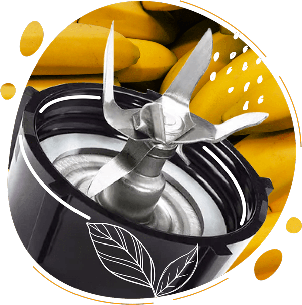 Les lames en acier inox du blender oster