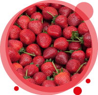 Un smoothie biologique à la fraise