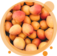 Un smoothie biologique à la mangue
