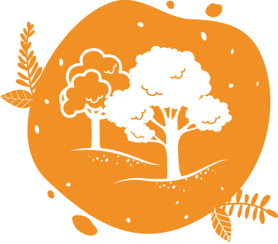 ces illustrations d'arbres représentent la gestion durable des forêts