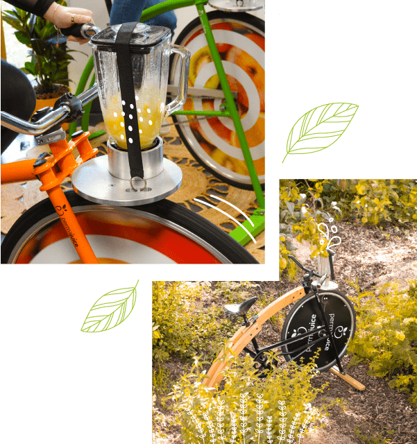 vélos smoothies